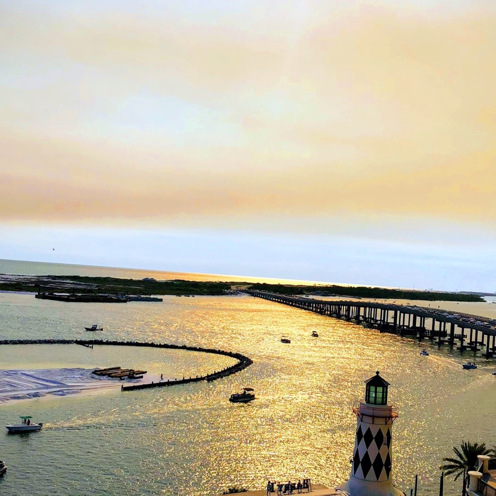 Meet your Posher, Camdyn